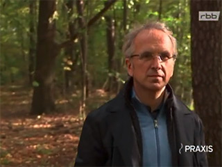 Immanuel Krankenhaus Berlin - Naturheilkunde - Nachrichten - TV-Tipp - rbb-Praxis - Prof. Dr. Andreas Michalsen - Gesundheit aus dem Wald